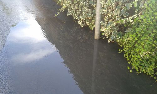 Reflection of clouds in puddle on street