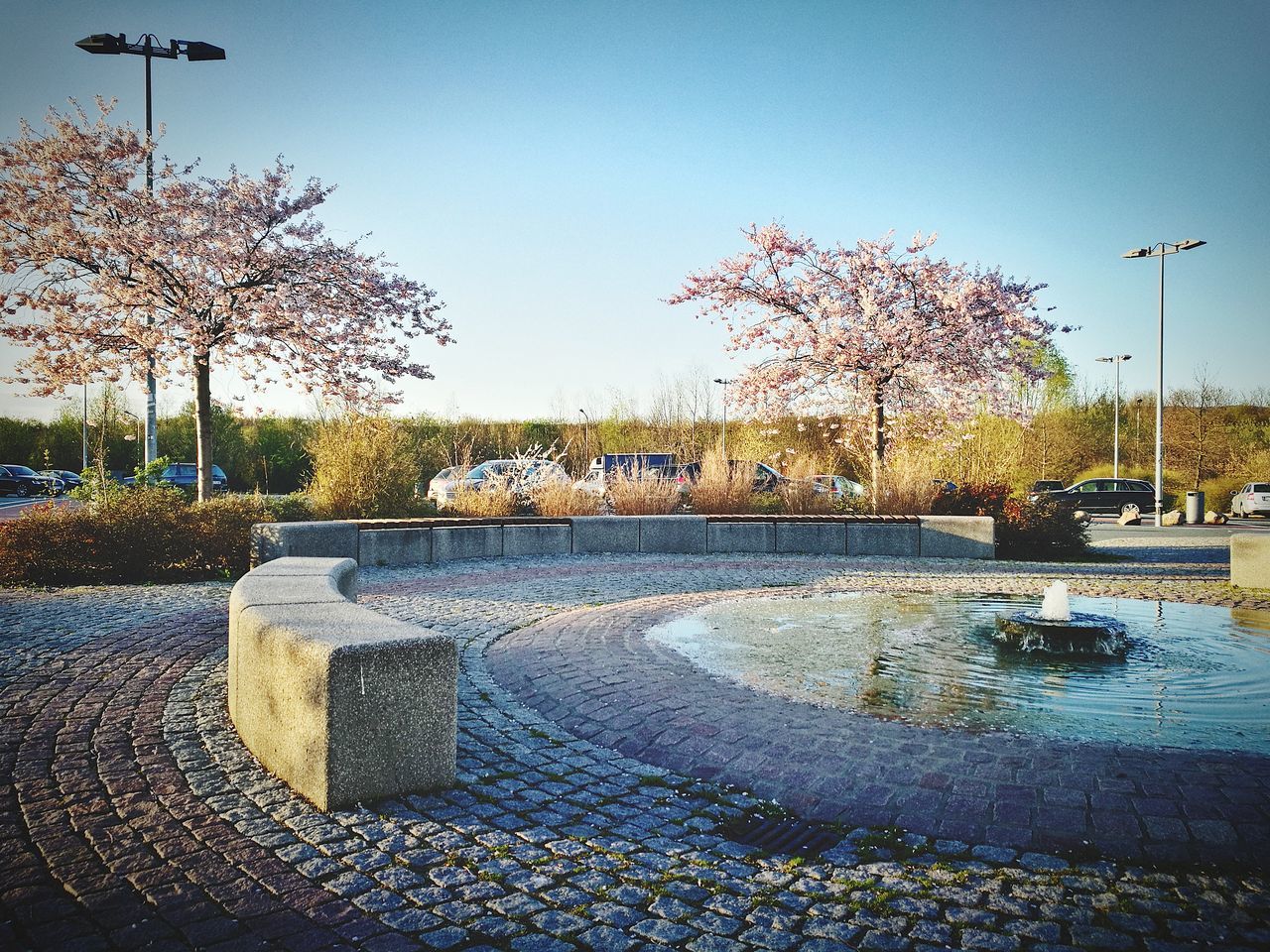 tree, plant, nature, sky, day, architecture, no people, car, park, footpath, clear sky, motor vehicle, outdoors, stone, cobblestone, mode of transportation, street, park - man made space, transportation, city, change, paving stone