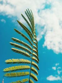 Low angle view of palm tree against sky