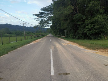 Empty road along trees and plants