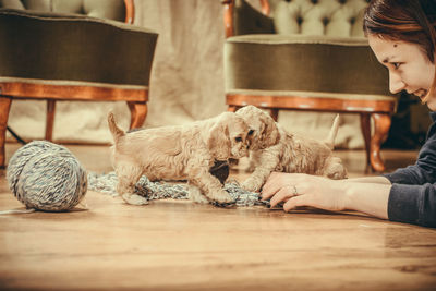 Side view of smiling young woman playing with puppies on floorboard at home