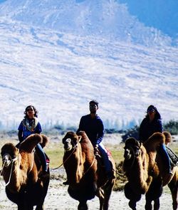 Group of people riding on double humped camels in a cold desert