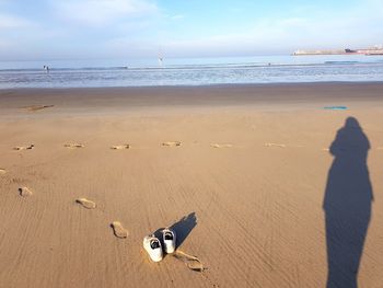 Shadow of man with dog on beach