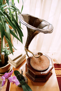 High angle view of potted plants on table at home