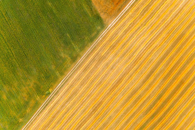 High angle view of agricultural field