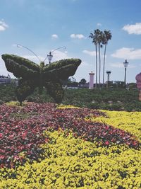 Flowers blooming in park against sky