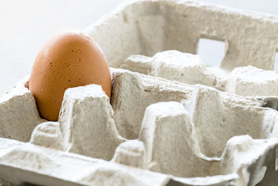 Close-up of egg in carton