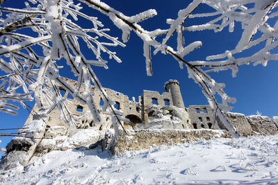 Low angle view of snow covered trees against sky