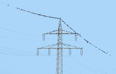 Lots of birds resting on a power pole in front of blue sky