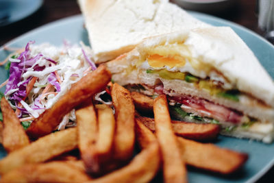 Close-up of sandwich with french fries and shredded cabbage