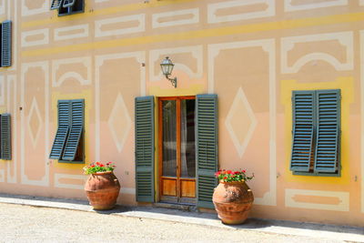 Potted plants outside building