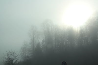 Scenic view of field during foggy weather