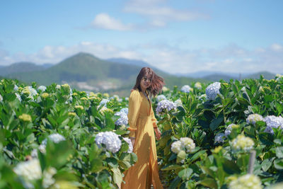 Beautiful asian woman in yellow dress walk in the hydrangea flowers garden.