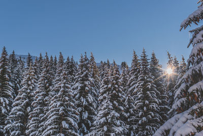 winter