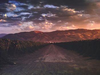 Road amidst landscape against sky during sunset