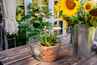 Close-up of potted plants in basket on table