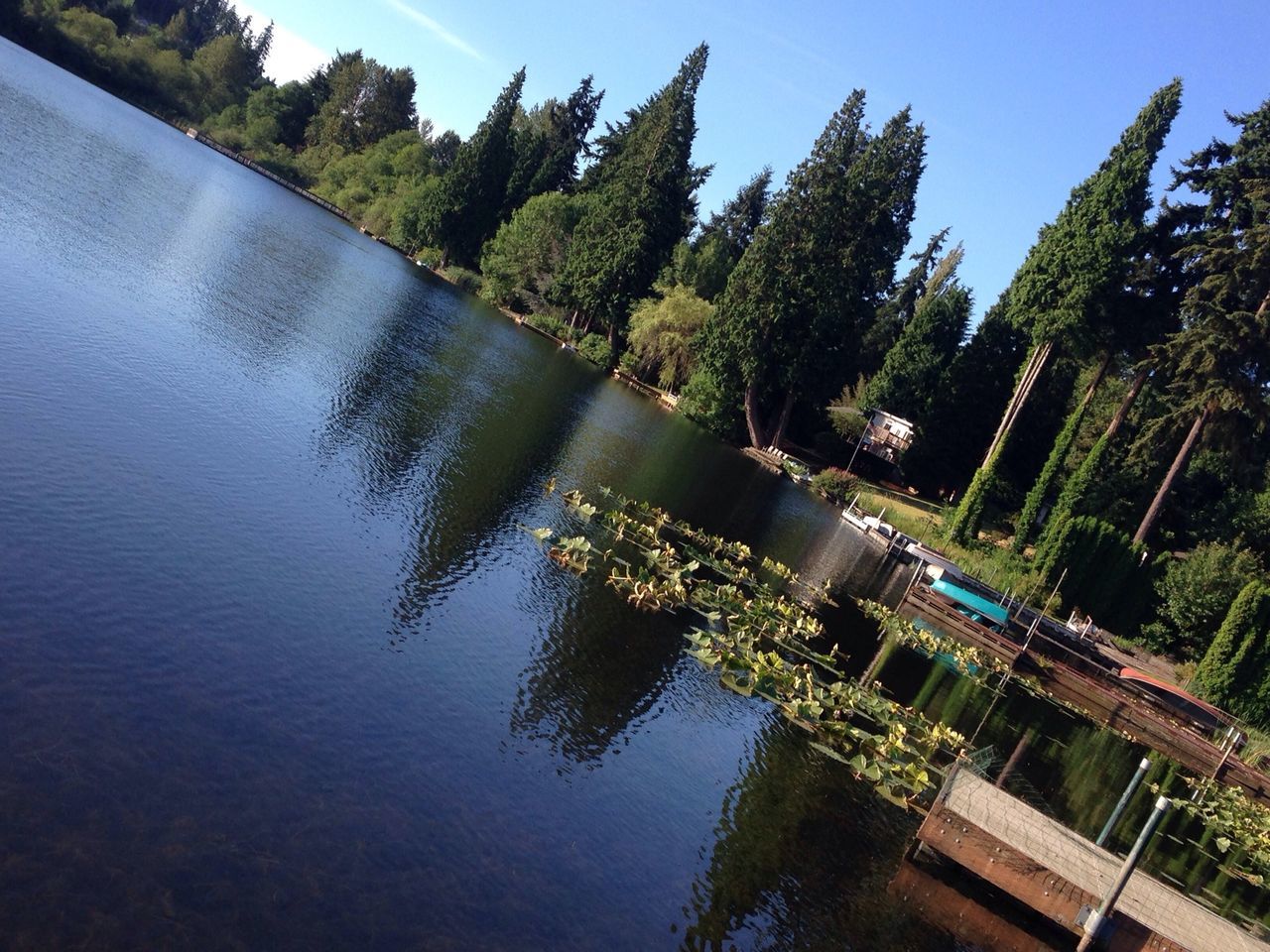 water, tree, reflection, built structure, architecture, building exterior, blue, sky, clear sky, lake, river, nature, growth, waterfront, tranquility, day, sunlight, outdoors, no people, standing water