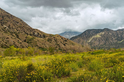 Scenic view of mountains against sky