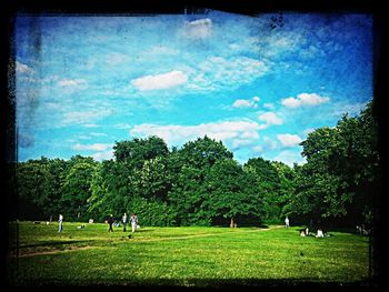 Scenic view of grassy field against sky