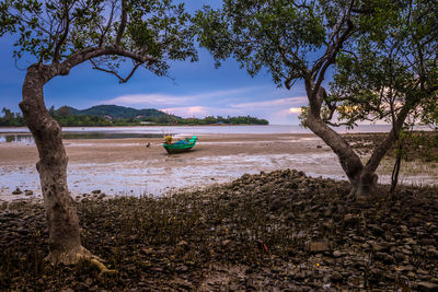 Boats moored on beach against sky