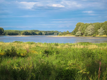 Scenic view of lake and green landscape against sky