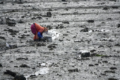 Rear view of man working on rock