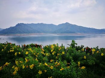 Scenic view of lake against cloudy sky