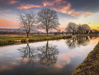 Reflection of tree in lake against sky during sunset