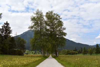 Scenic view of road amidst trees against sky