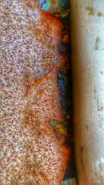 Full frame shot of tiled floor