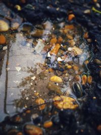 High angle view of cigarette on wet surface