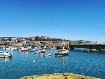 Sailboats moored in harbor against clear blue sky