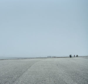 View of tree against clear sky