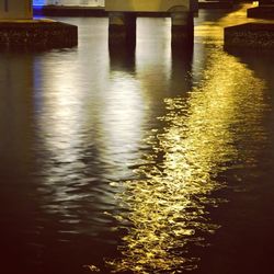 Reflection of trees in water