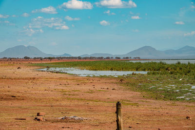 Scenic view of lake jipe at the border of kenya and tanzania seen from tsavo west national park