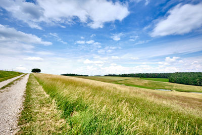 Scenic view of agricultural field against sky