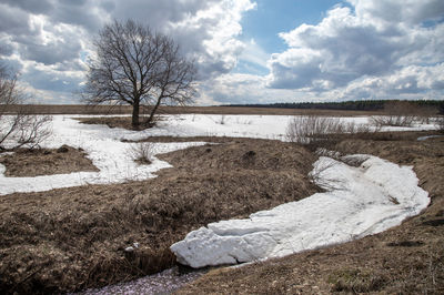 View of bare trees on snow covered land