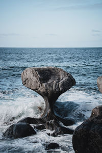 Driftwood on rocks by sea against sky