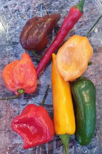 High angle view of chili peppers