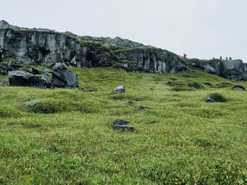 Scenic view of landscape against clear sky