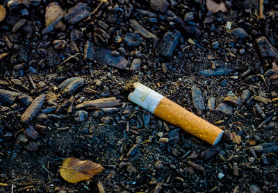 High angle view of cigarette smoking on land