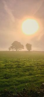 Scenic view of field against sky during sunset