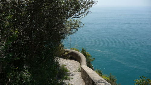 High angle view of tree by sea against sky