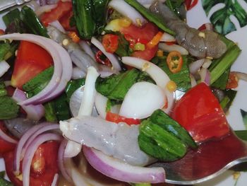 Close-up of chopped vegetables in plate