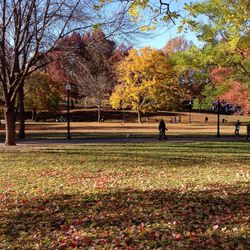 Man and woman in park during autumn