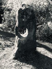 Shadow of man on rock