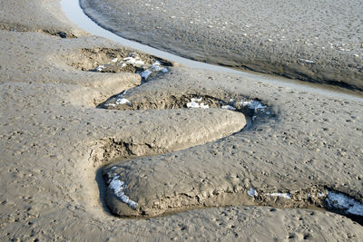Mud tracks at beach