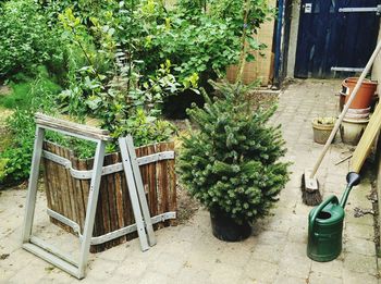 Potted plants on table in yard