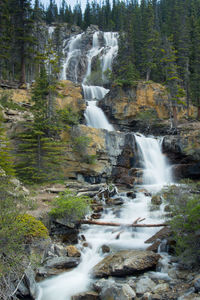 Scenic view of waterfall in forest