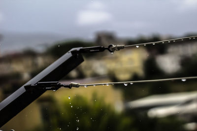 Close-up of water drops on clothesline